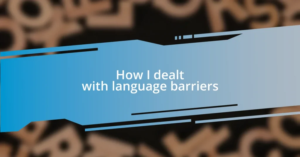 How I dealt with language barriers