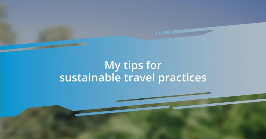 My tips for sustainable travel practices